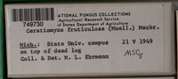Image Associated With the Occurence